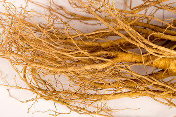 Ginseng / Ginsengwurzel