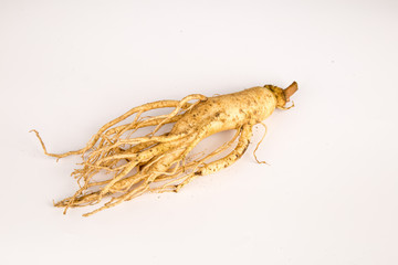 Ginseng / Ginsengwurzel