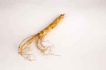 Ginseng / Ginsengwurzel