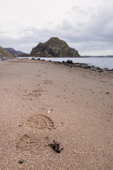 footprints leading the way towards Dumbarton Rock