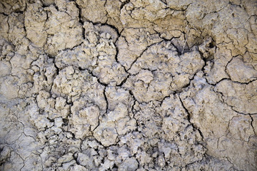Dry and broken field