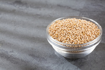 Yellow grain mustard - Sinapis alba