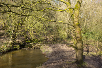 Stream in Cheshire countryside UK
