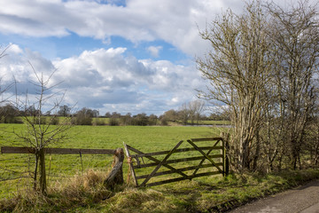 Fototapeta premium Countryside view over gate in Cheshire UK