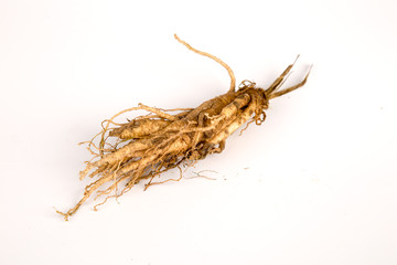 Ginseng /Ginsengwurzel