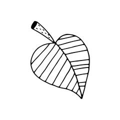 Linear cartoon hand drawn leaf. Cute vector black and white doodle leaf. Isolated monochrome leaf silhouette on white background.