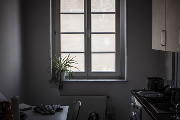 Window in the kitchen
