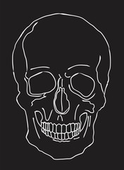 Illustration of a skull