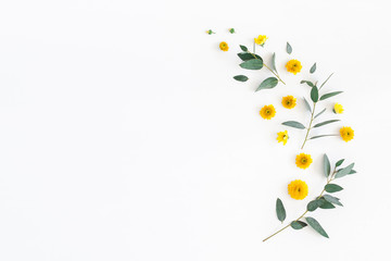 Flowers composition. Pattern made of yellow flowers and eucalyptus leaves on white background. Flat lay, top view, copy space - 194159636