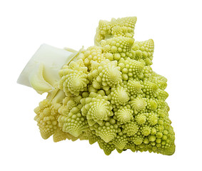 Fresh Roman cauliflower isolated on white background with clipping path