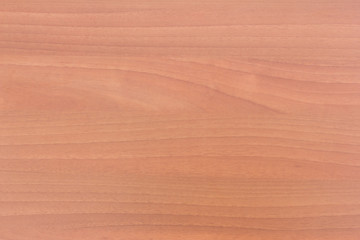 Fototapeta premium Wood texture. Wood texture for design and decoration