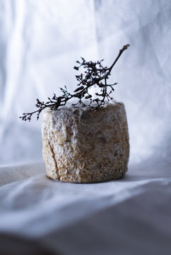 fromage de ch&egrave;vre , tomme de ch&egrave;vre  ,