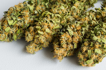 Macro close up of a dried Cannabis Medical Marijuana plant with focus on the resinous flower