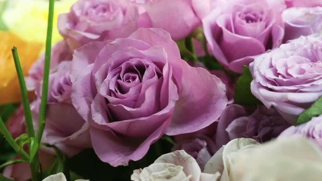 Close-up shot of a large bouquet of bright fresh lilac roses in a flower shop. 4K