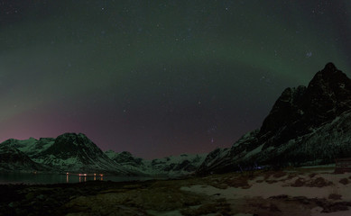 Fototapeta na wymiar Green Northern Light (Aurora Borealis) in a clear starry night above a Norwegian fjord, Tromsø, Norway