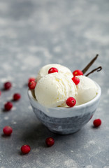 Vanilla ice cream scoops