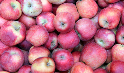 red apples for sale at the fruit market