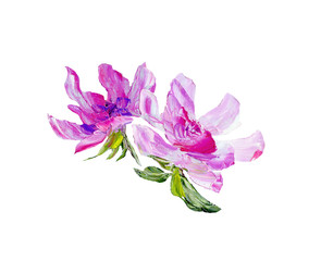Hand painted modern style purple flower isolated on white background. Spring flower seasonal nature card. Oil painting
