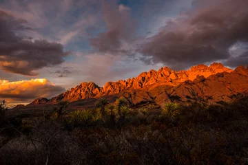 Organs Sunset and Outcrop