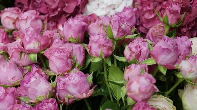 Close-up shot of a large bouquet of bright fresh pink roses in a flower shop. 4K