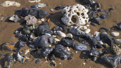 Chalk and flint on the coast of Kent