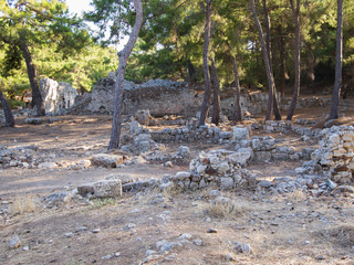 Ruins in the pine forest, Phaselis, Turkey