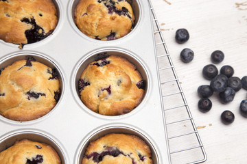 Homemade Blueberry Muffins