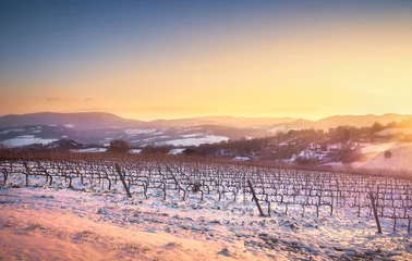  Vineyards rows covered by snow in winter at sunset. Chianti, Siena, Italy © stevanzz