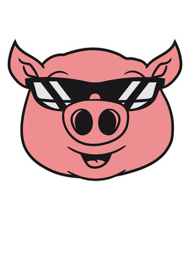 cool sonnenbrille schwein gesicht kopf süß niedlich comic cartoon lachen clipart