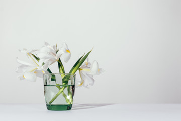 Flowers irises in a green vase