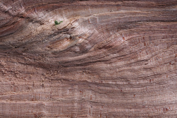 Holz Hintergrund