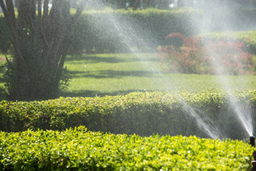 Automated watering system in the Park.