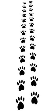 Paw Trail, paw prints animal cat dog footprints, vector away path perspective