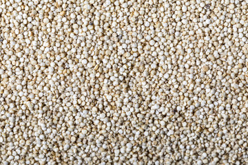 Close up texture of amaranth
