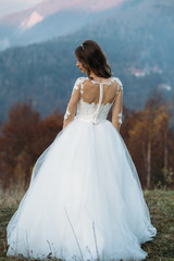 Fototapeta na wymiar Beautiful bride in a rich dress poses on the mountain hill