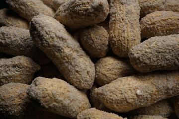 Salted peanuts in a shell. Studio shot. Close Up. Macro