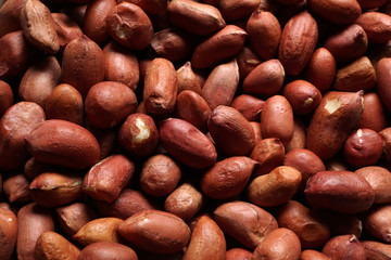 The background of dried peanuts