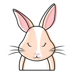 Cute rabbit icon 