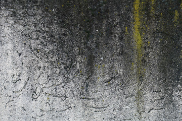 Fototapeta premium Mould cement wall background.