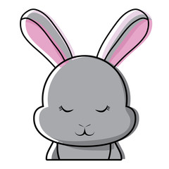 Cute rabbit icon 
