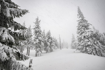 Winter landscape in mountains