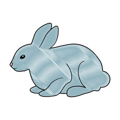 rabbit animal icon