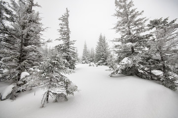 Winter landscape in mountains