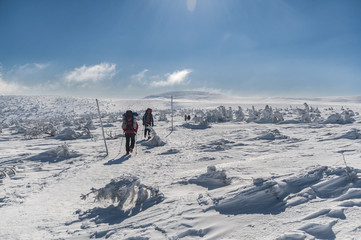 Fototapeta na wymiar Mountain hiking in winter
