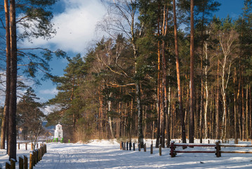 Przydrożna kapliczka na skraju lasu w zimowej szacie oświetlone porannym słońcem z niebieskim niebem z chmurami - obrazy, fototapety, plakaty
