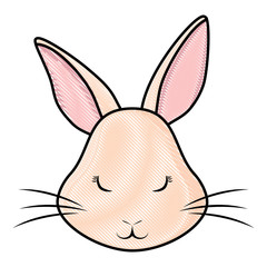 Cute rabbit icon 