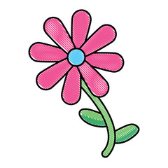 beautiful flowers design