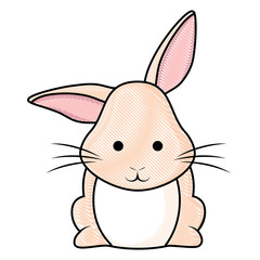 Cute rabbit icon 