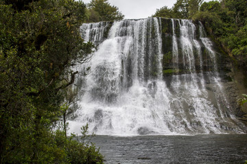 Beautiful Waterfall in Lush Rainforest