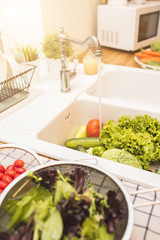 Vegetables lie in the sink